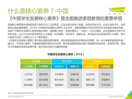 2021年中國素質(zhì)教育行業(yè)趨勢洞察報告 教育咨詢服務(wù)的變革與機遇